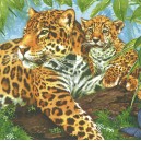 Ubrousek - leopardi