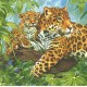 Ubrousek - leopardi
