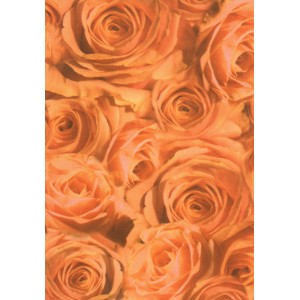 Pauzovací papír  A4 - růže oranžové