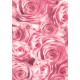 Pauzovací papír  A4 - růže růžové